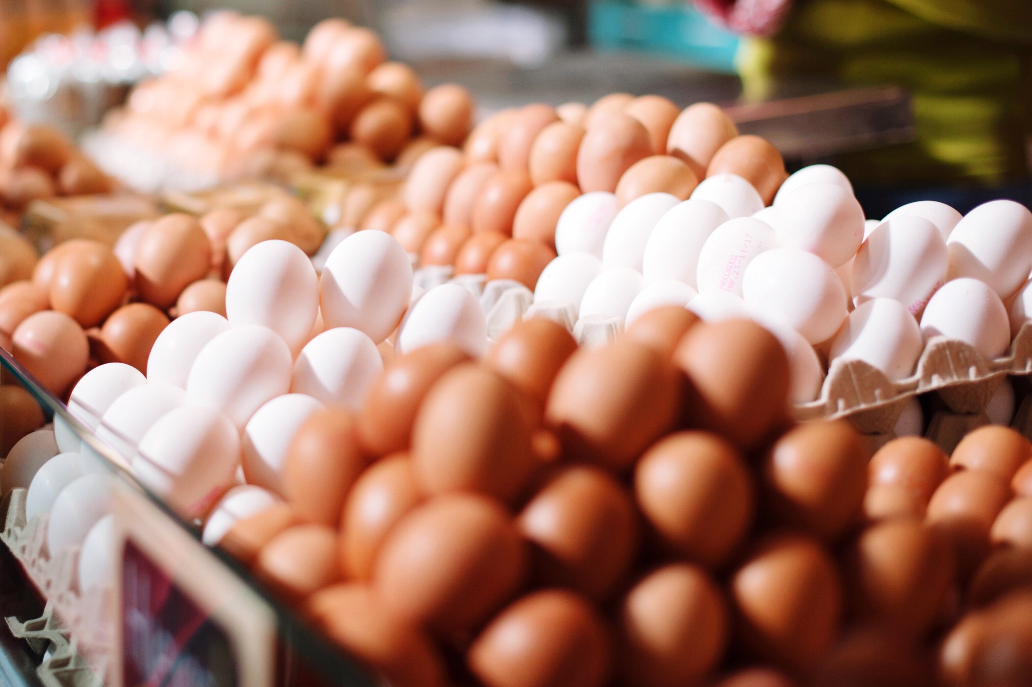 You are currently viewing Egg Types: Cage-free, Free-range, Farm-raised, Organic