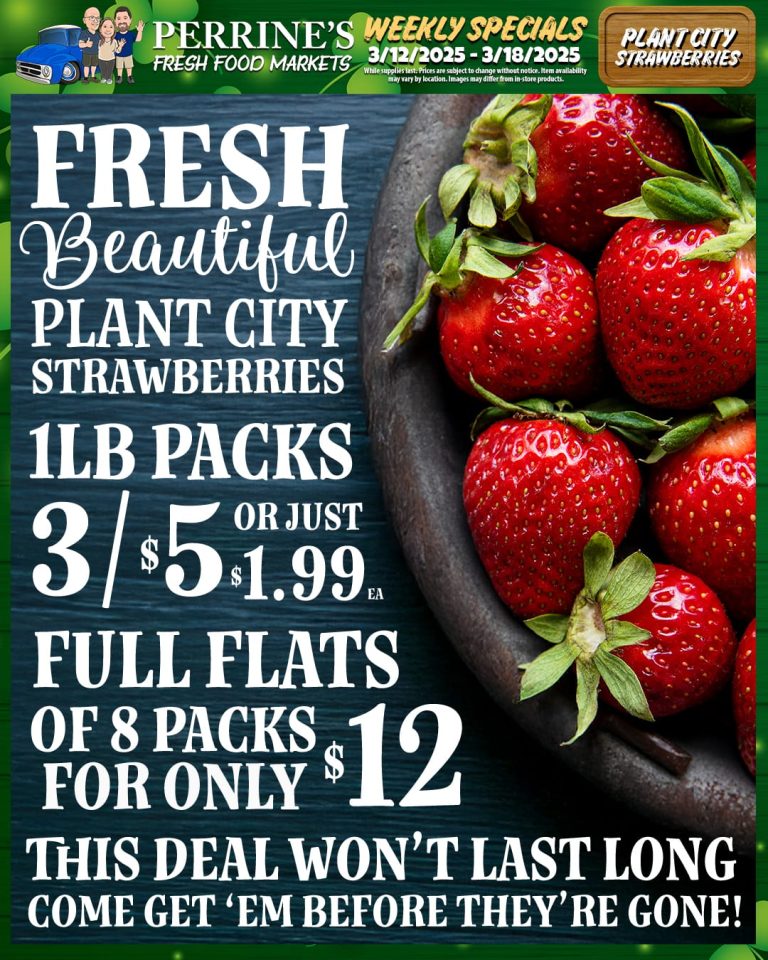 Plant City Strawberries