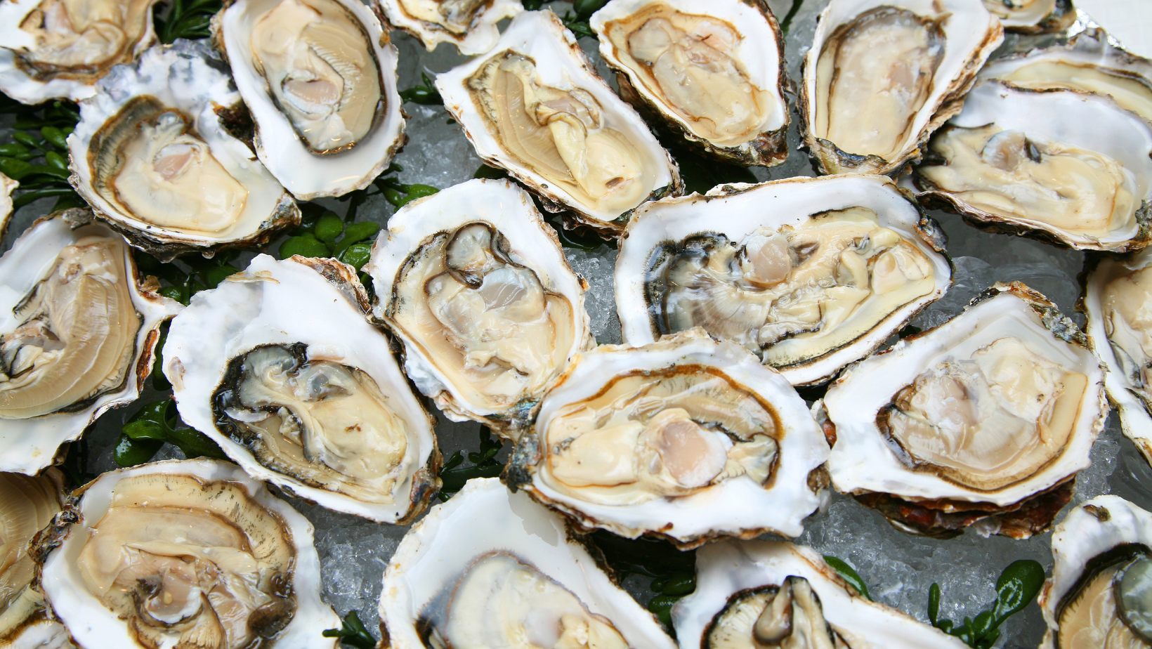 You are currently viewing The Art of Eating Oysters