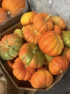 Read more about the article Autumn Pumpkins