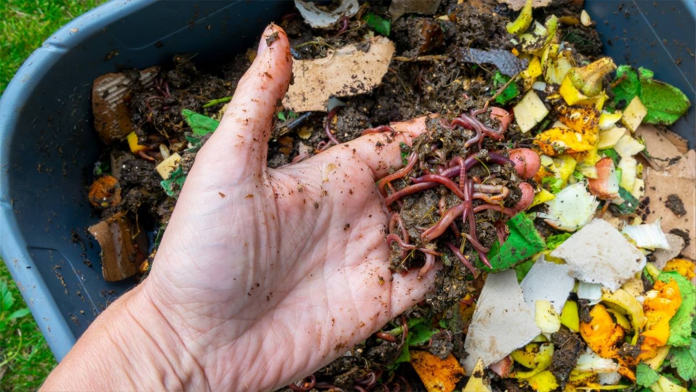 You are currently viewing Composting 101: What to Do with Produce Scraps