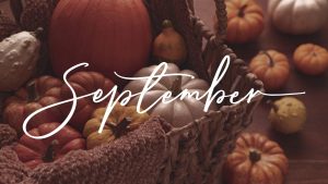 Read more about the article September at Perrine’s Produce: The Best of All Worlds