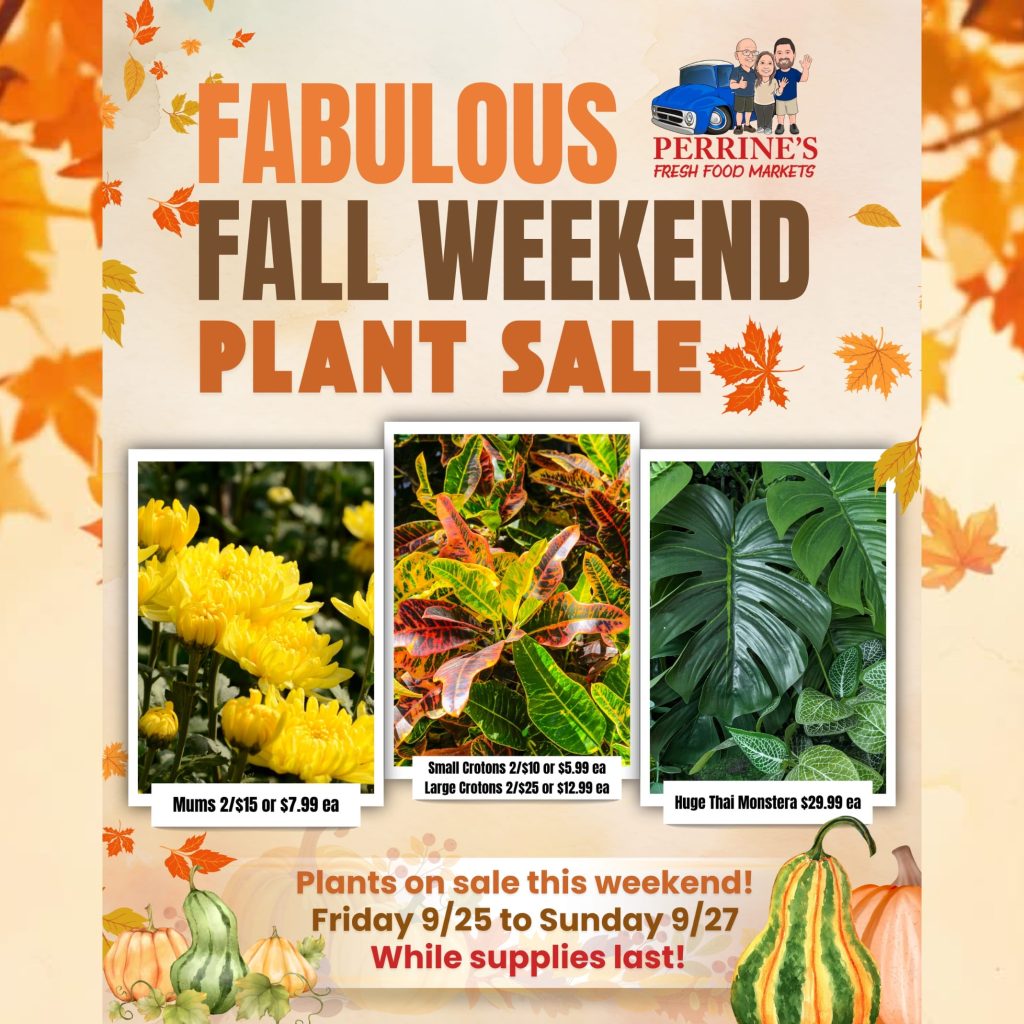fall sale